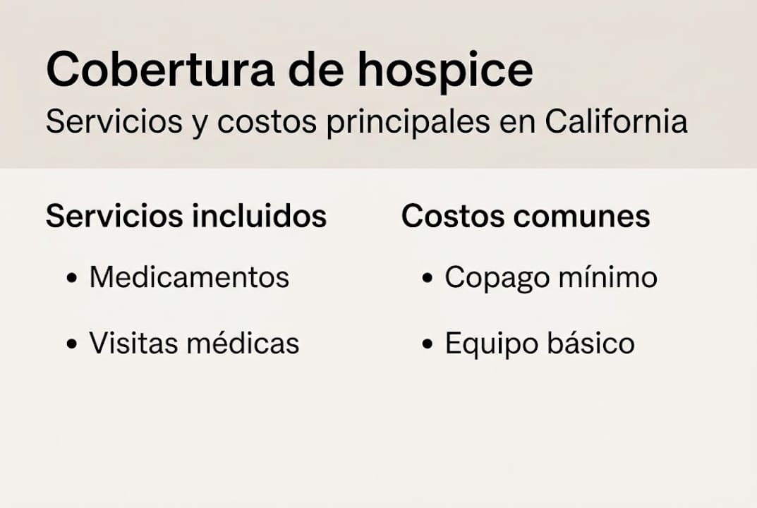 Infografía: todo lo que debes saber sobre la cobertura y los costos del cuidado paliativo