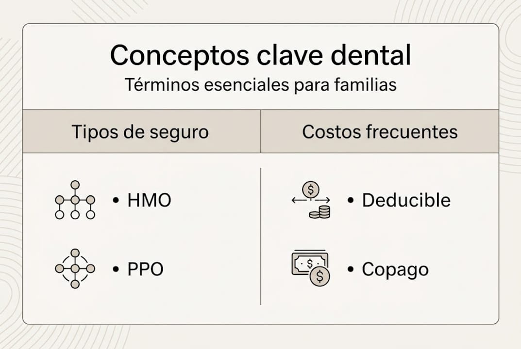 Guía visual con los conceptos esenciales de los seguros dentales