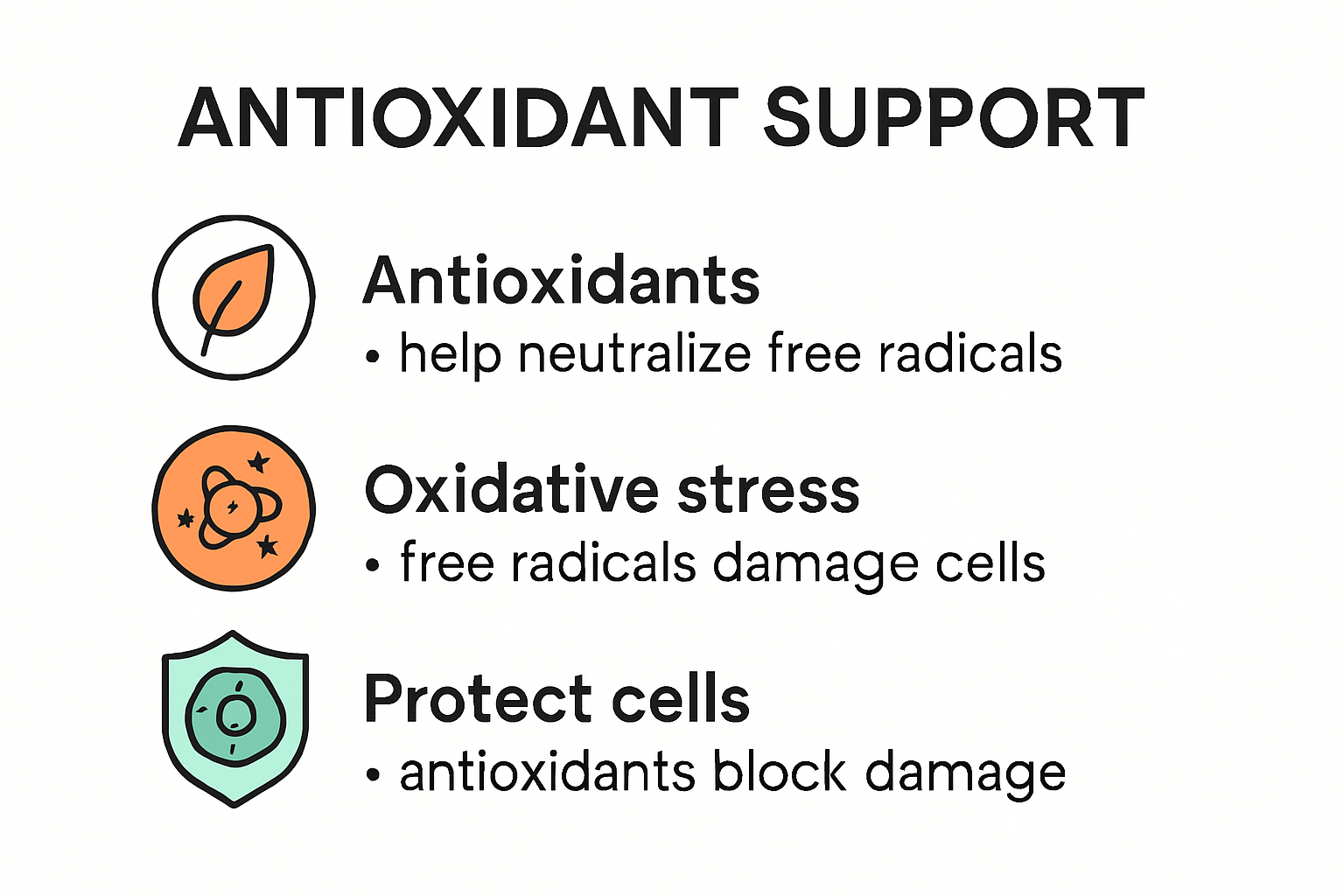 Infographic explaining what antioxidant support means