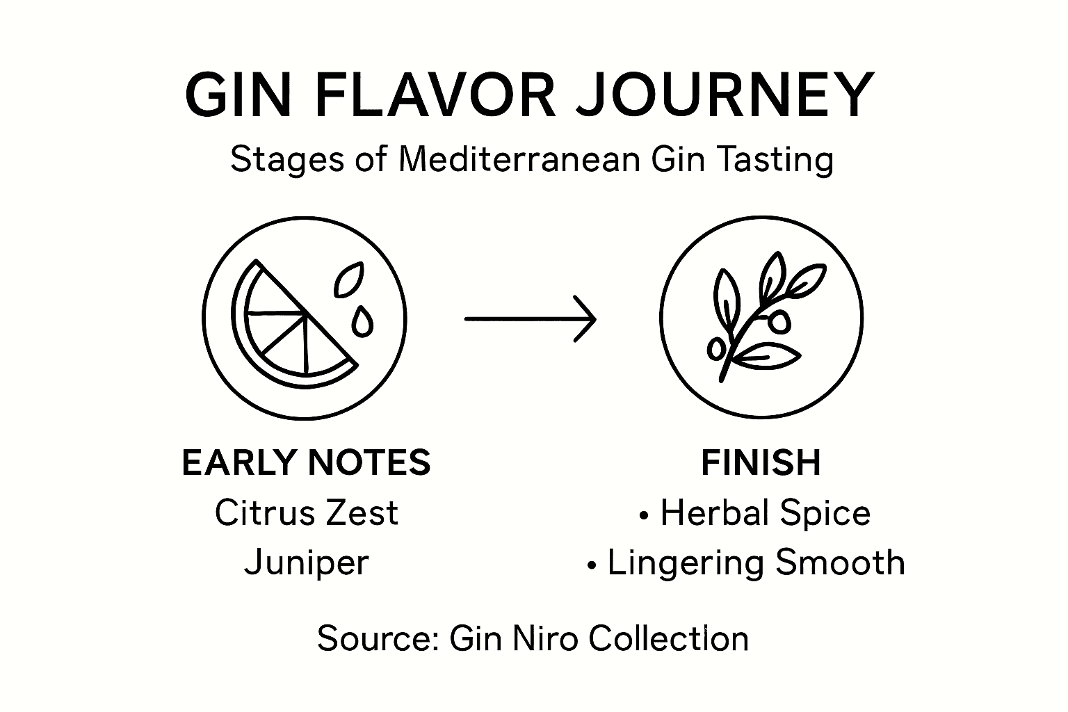 Infographic stages of gin tasting flavors