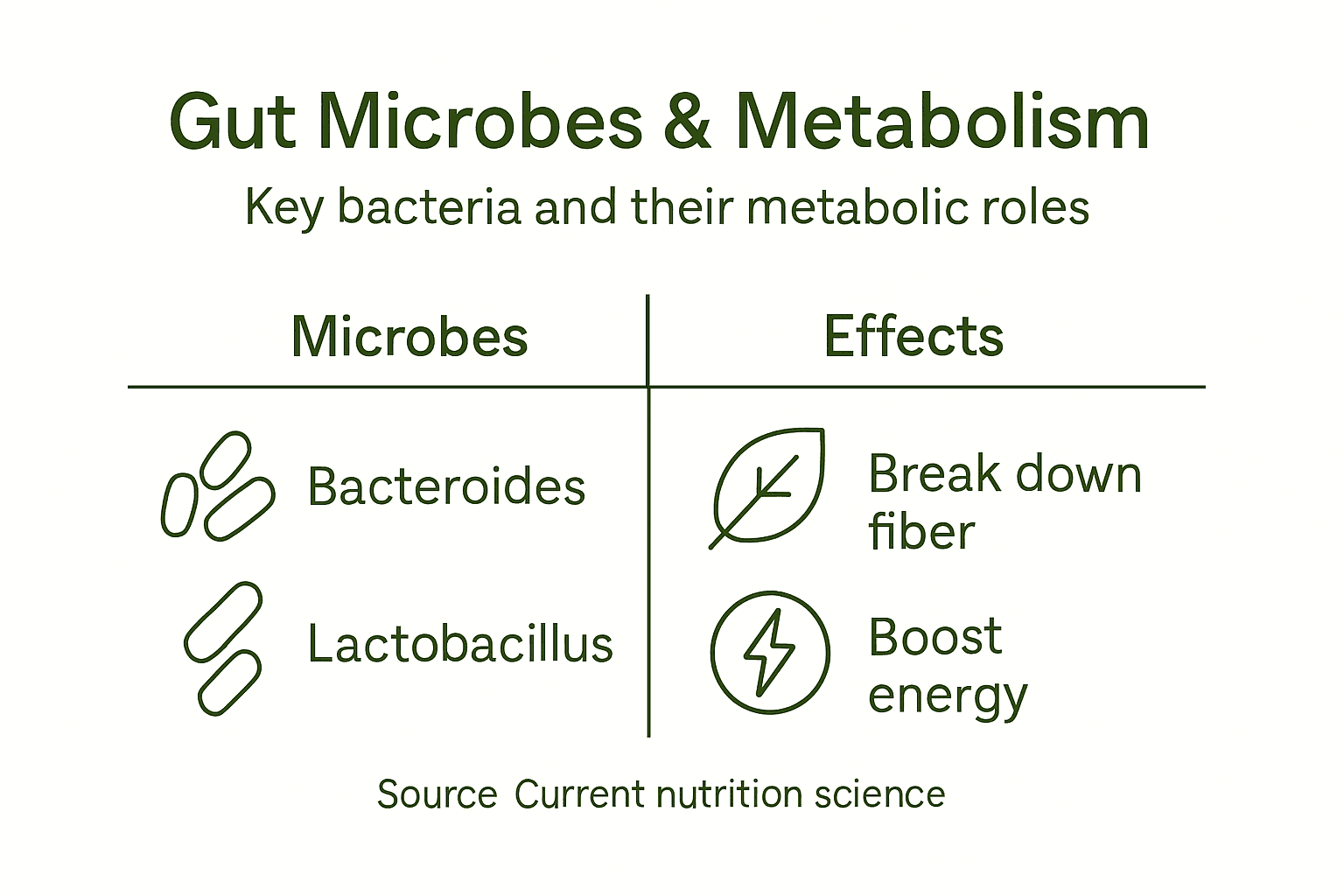 Infographic linking gut bacteria and metabolism