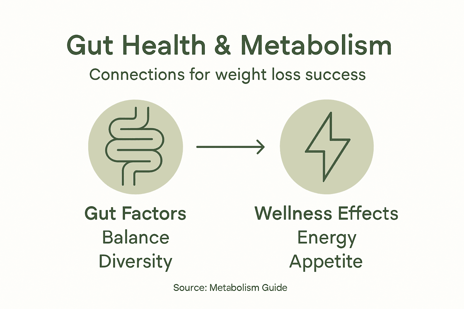 Infographic explaining gut health’s role in metabolism