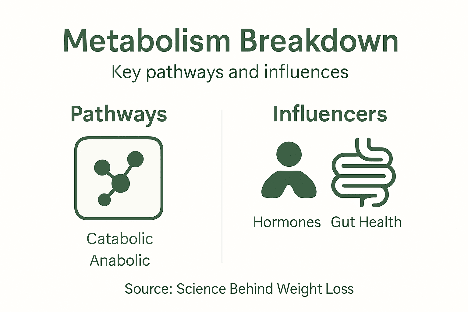 Infographic summarizing metabolism pathways and influences