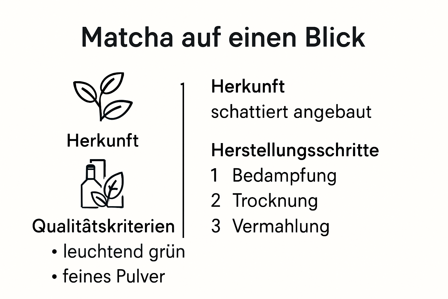 Matcha Herkunft, Herstellung und Qualität Infografik