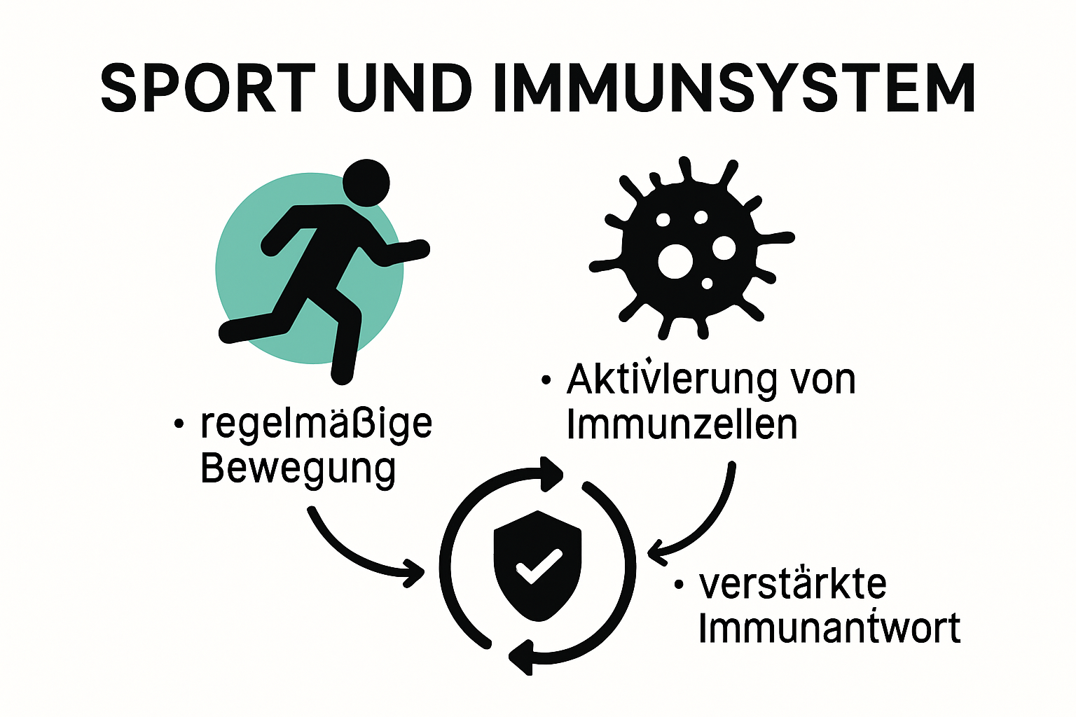 Grafik: Einfluss von Sport auf das Immunsystem