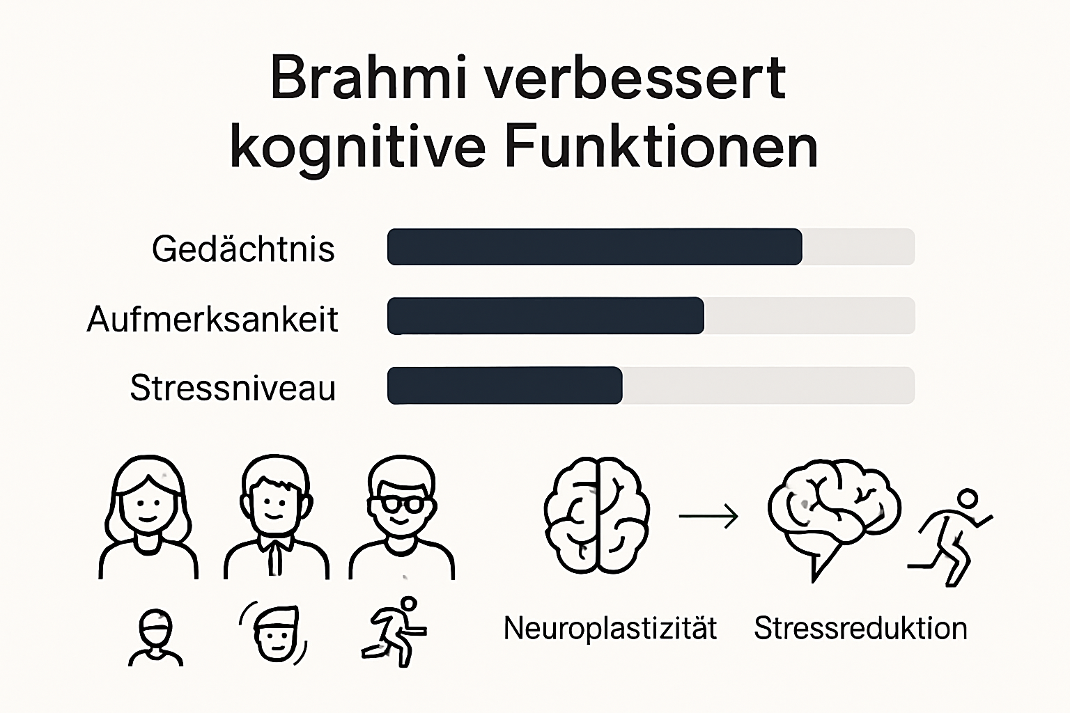 Infographic: Brahmi’s effects on memory, focus, and stress reduction