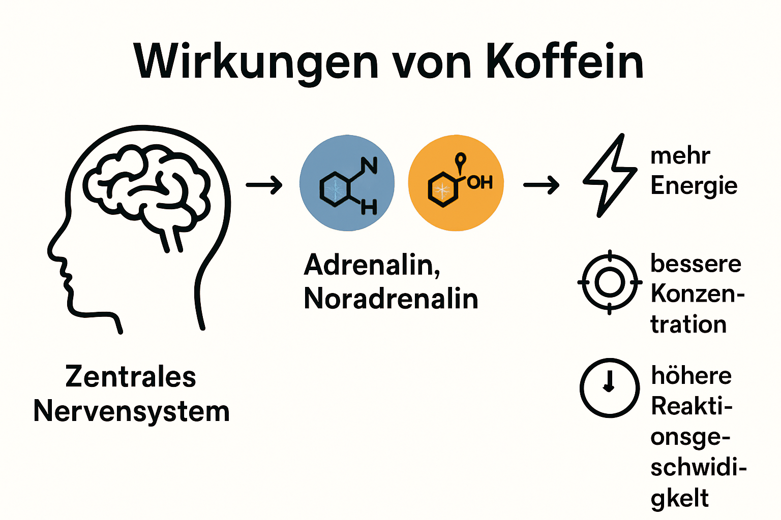 Infographic showing how caffeine impacts body and mind