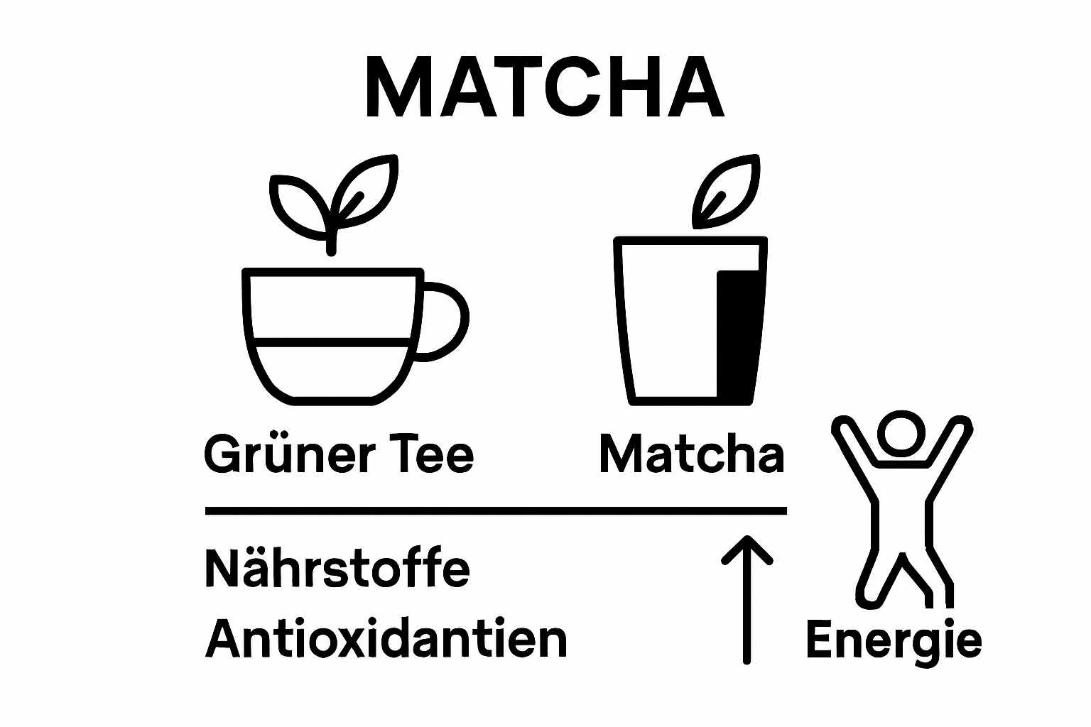 Matcha vs. grüner Tee Antioxidantien Infografik