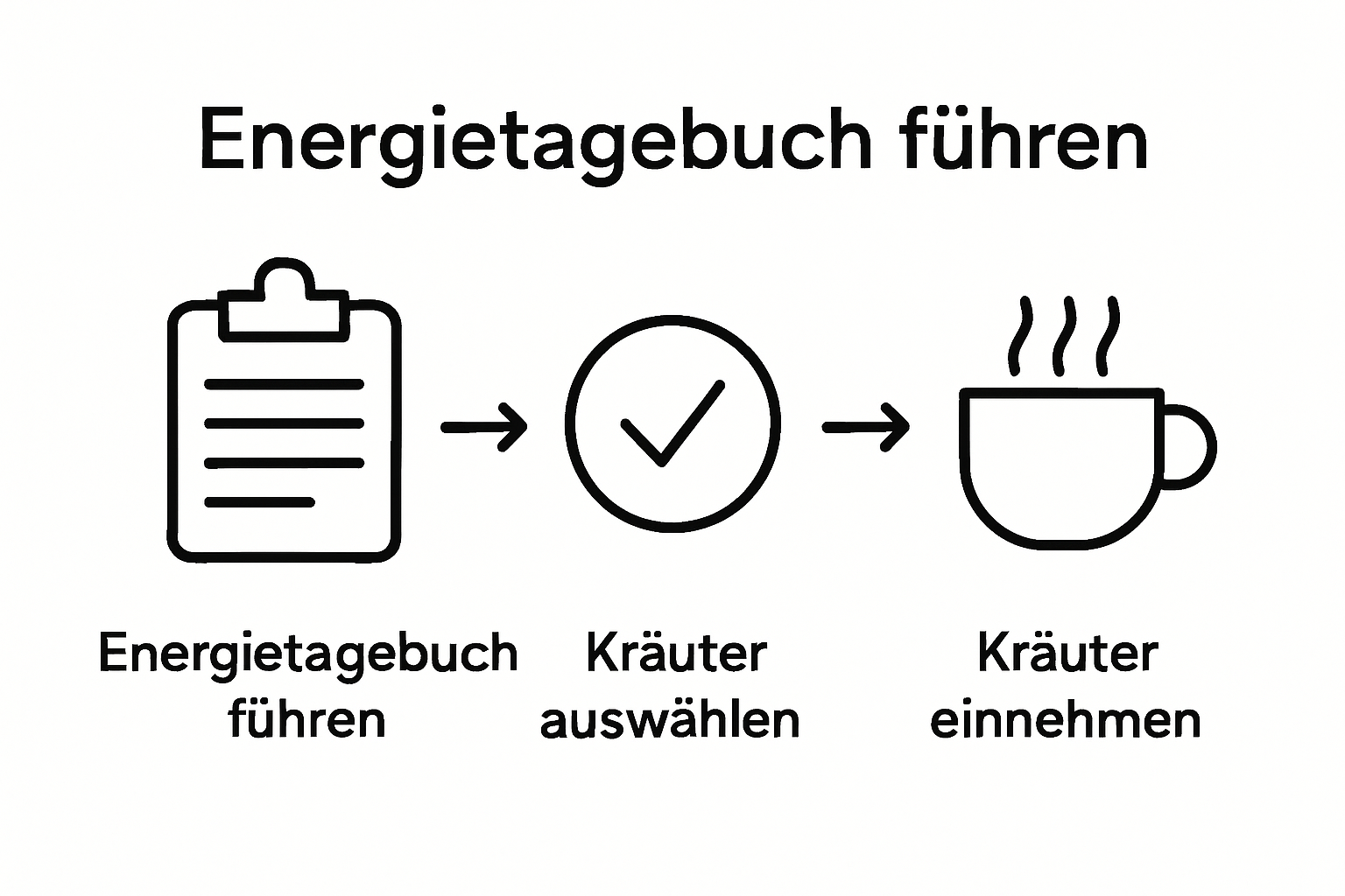 Infografik Schritte: Energietagebuch, Kräuterauswahl, Einnahme
