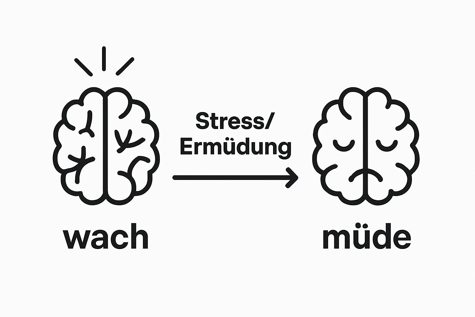 Infographic showing brain high energy vs. tired after work