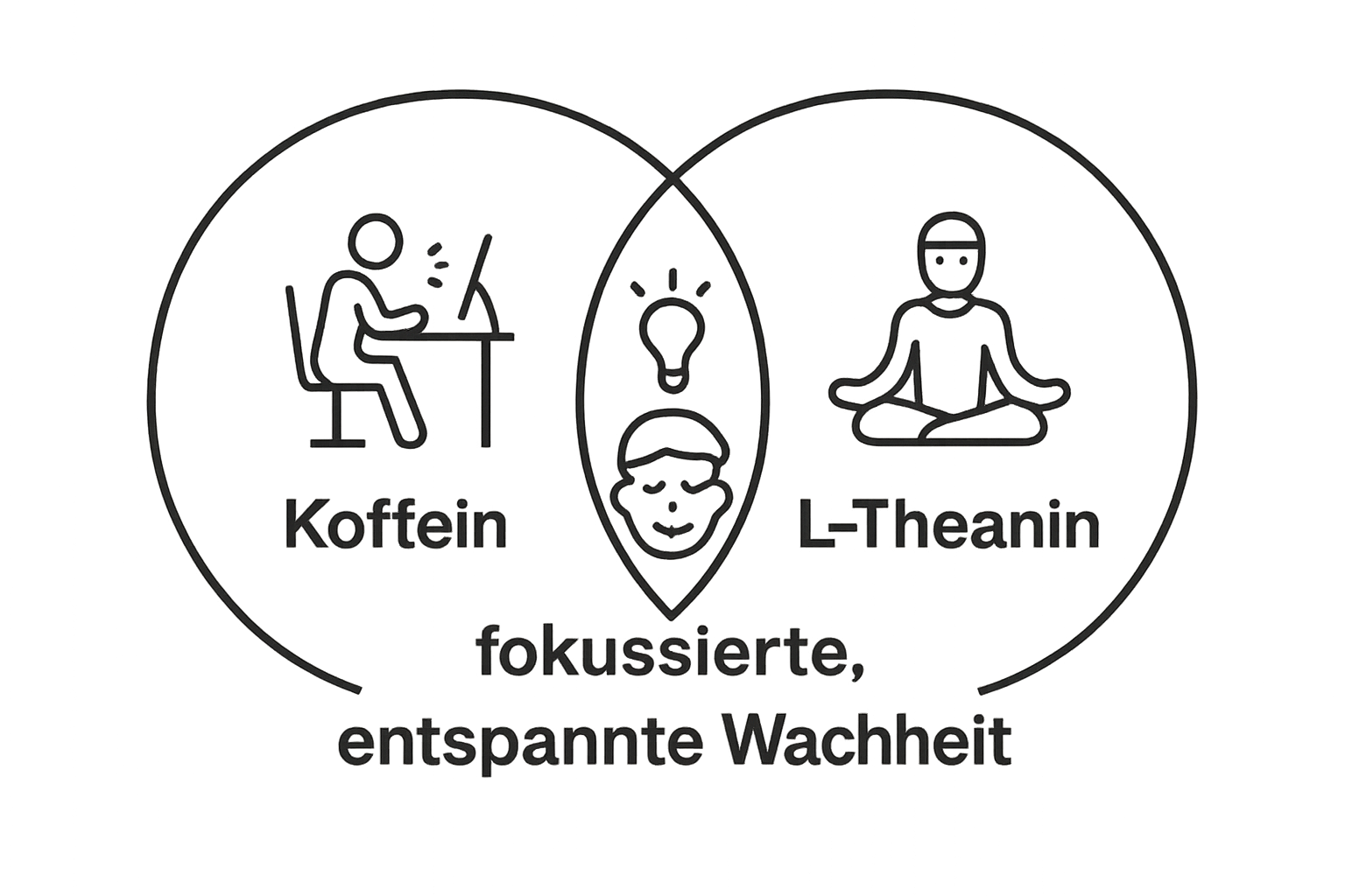 Vergleich der Wirkung von Koffein und L-Theanin mit ihrem Zusammenspiel als Venn-Diagramm