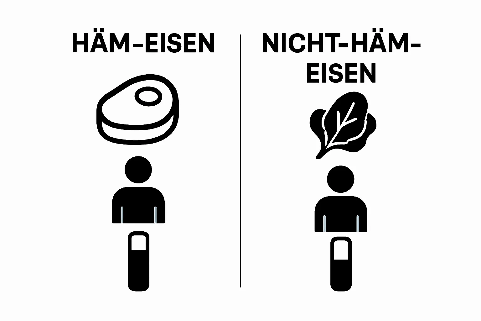 Infographic comparing animal and plant iron absorption