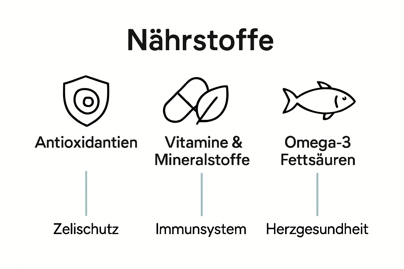 Schlichte Infografik: Die wichtigsten Superfood-Nährstoffe und ihre Vorteile