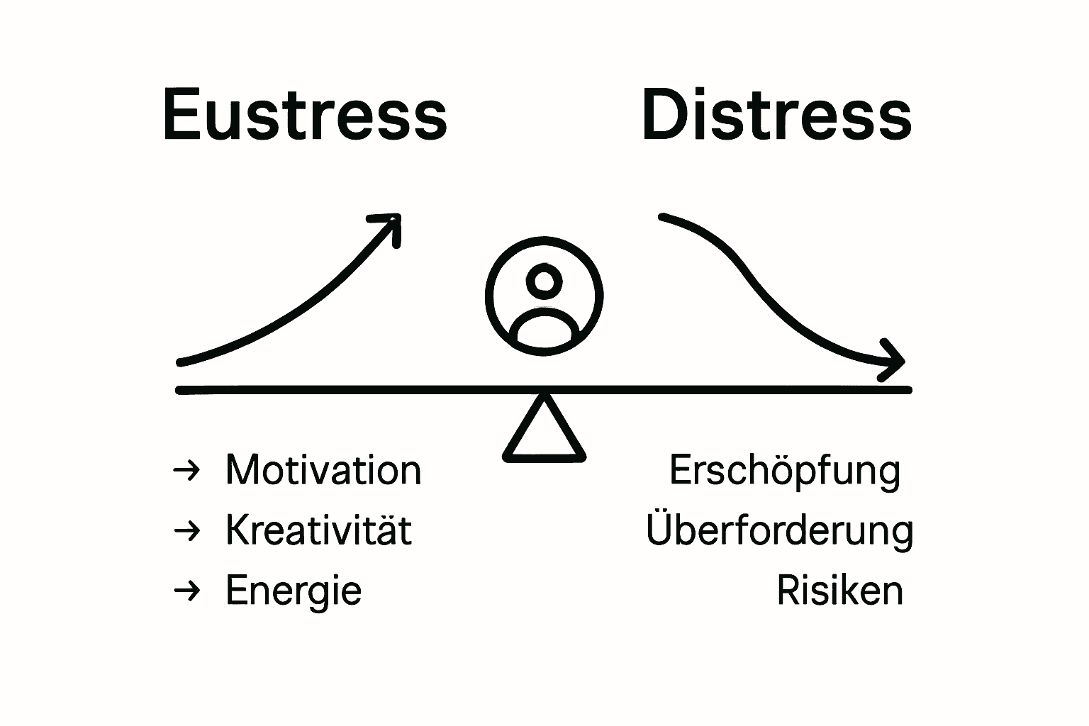Infografik Unterschied Eustress Distress Stressformen