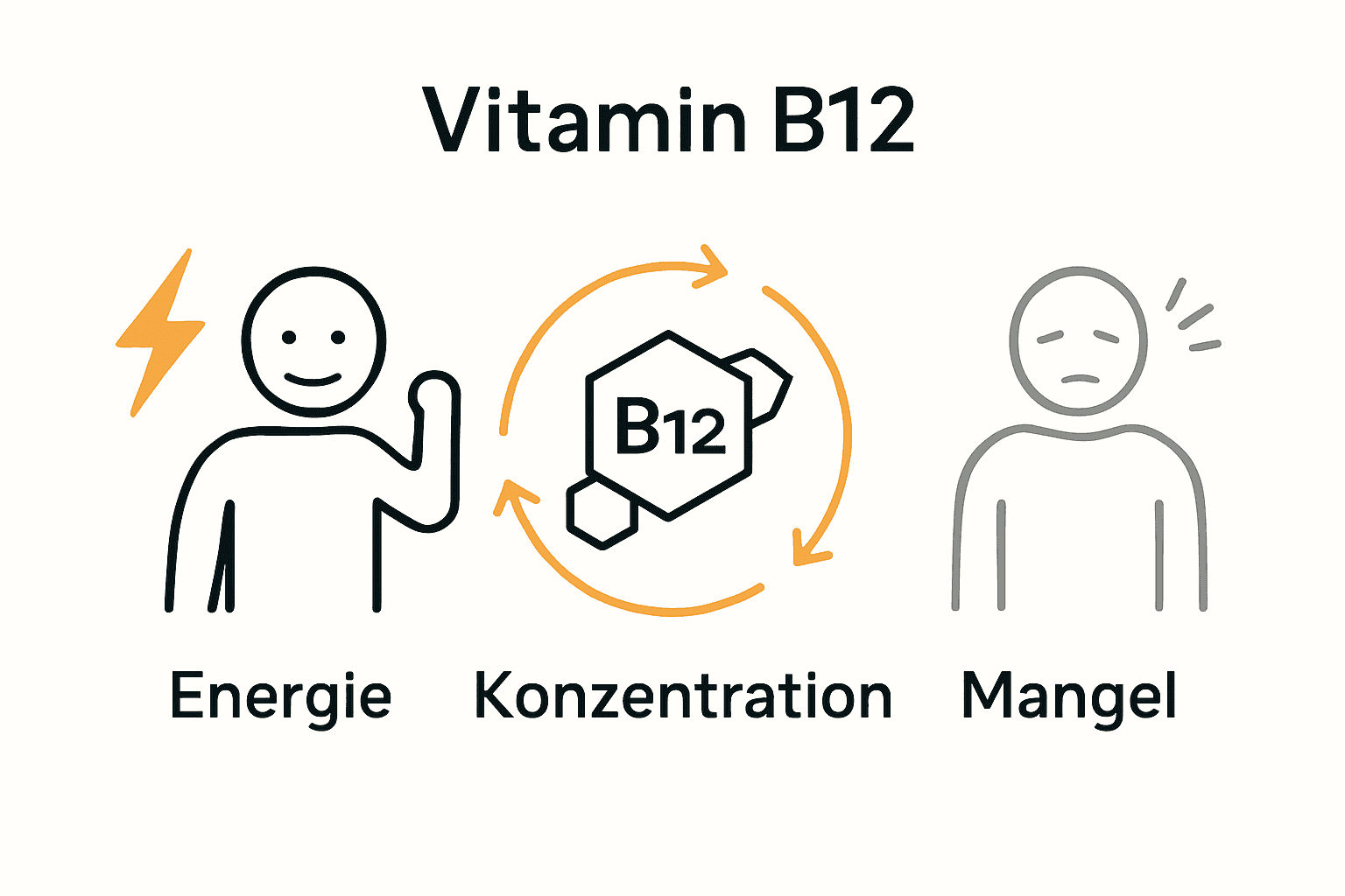 Infografik: Unterschied zwischen Vitamin-B12-Versorgung und Mangel