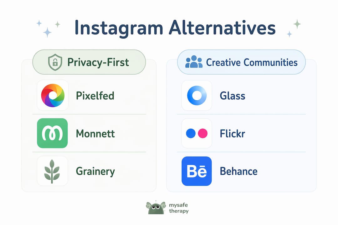 Infographic comparing Instagram alternatives categories