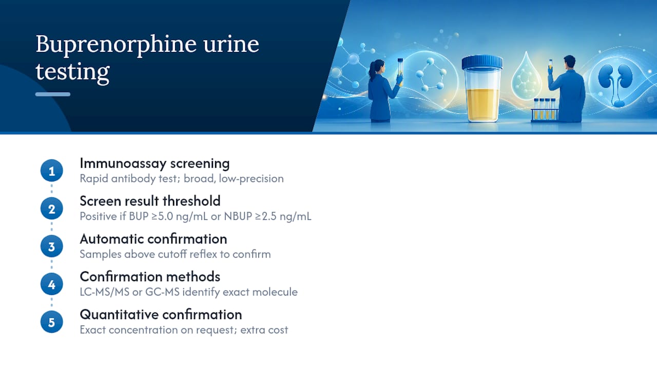 How Buprenorphine Urine Tests Actually Work — overview diagram