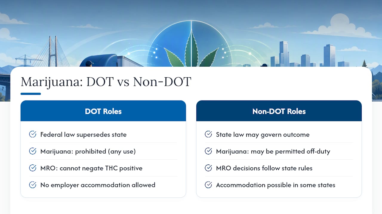 Medical Marijuana and Safety-Sensitive Roles: No Federal Exception — overview diagram