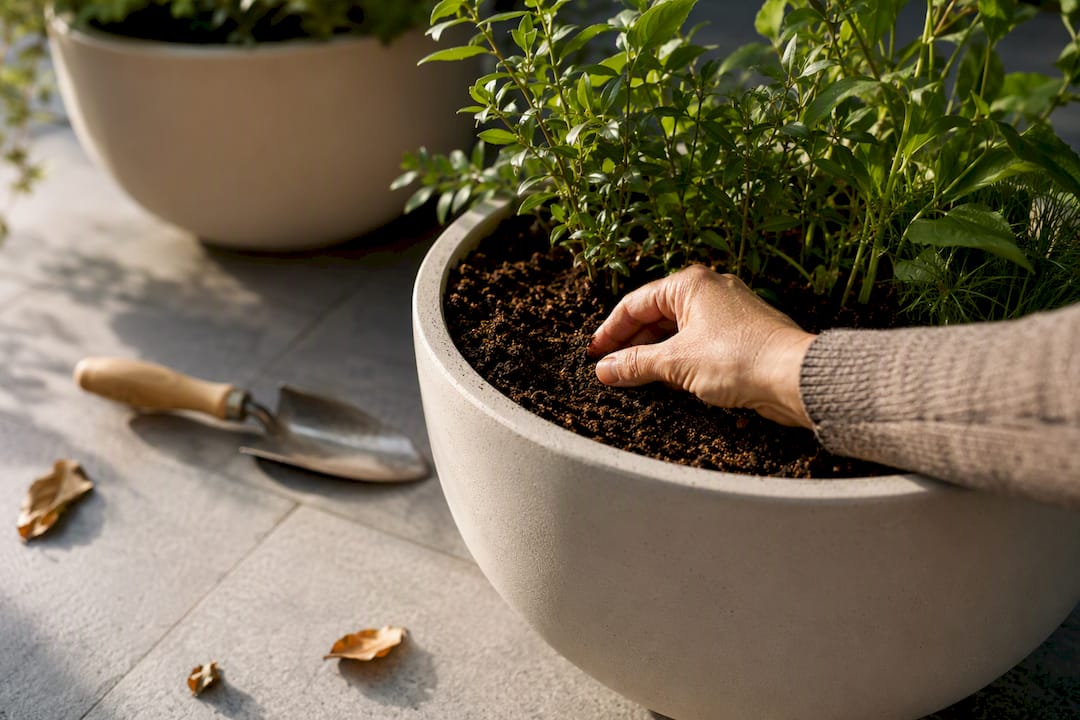 Hand checking compost in an outdoor planter