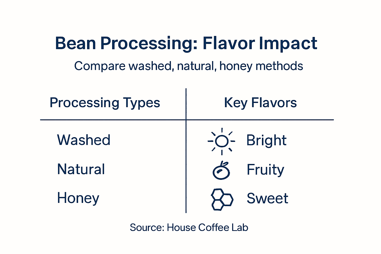 Infographic showing bean processing and flavor