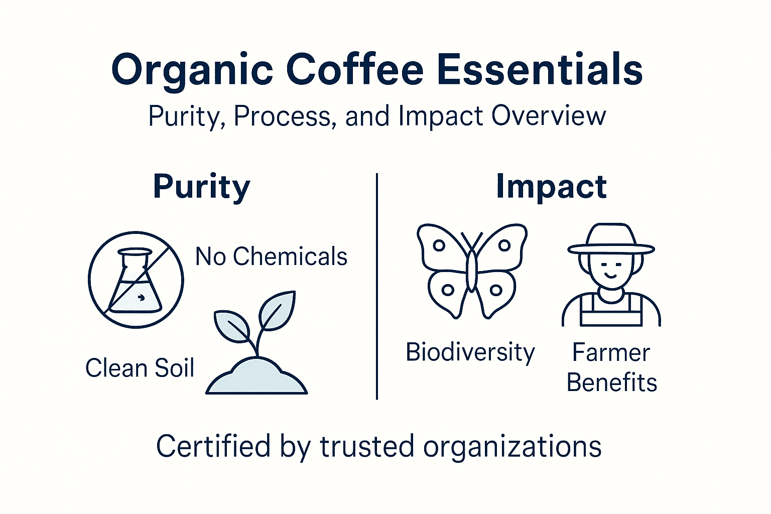 Infographic of organic coffee purity and impact