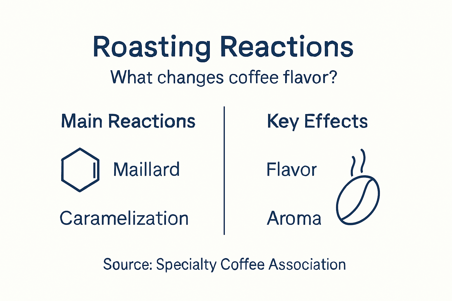 Infographic outlining chemical reactions in coffee roasting