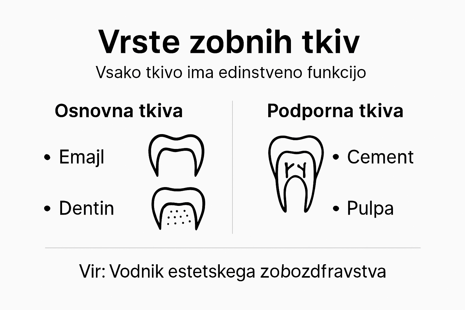 Pregled zobnih tkiv in njihovih nalog v obliki infografike