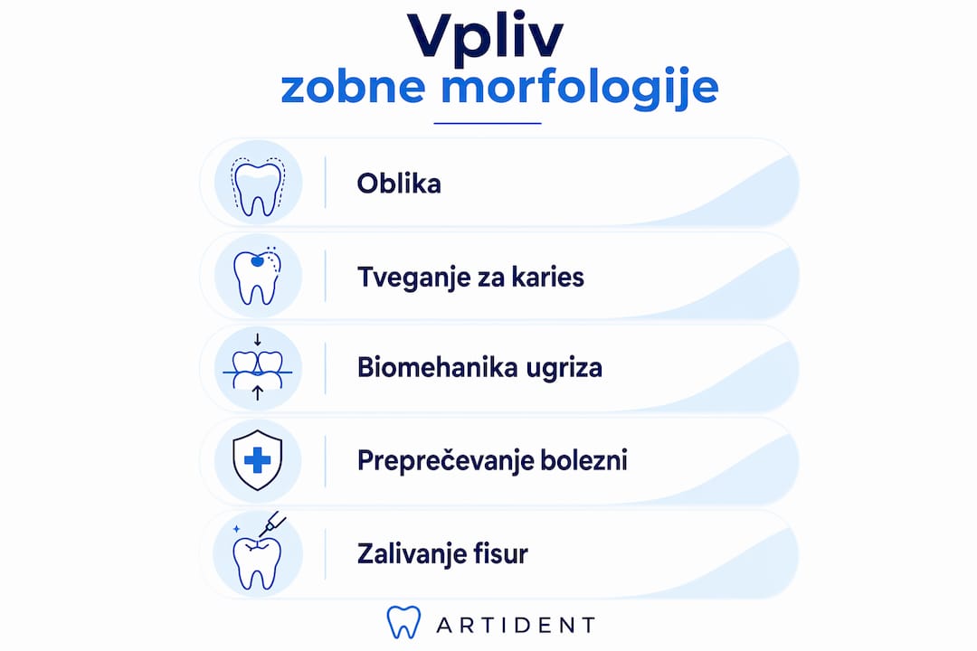 Na infografiki je prikazano, kako oblika in zgradba zob vplivata na naše zdravje.