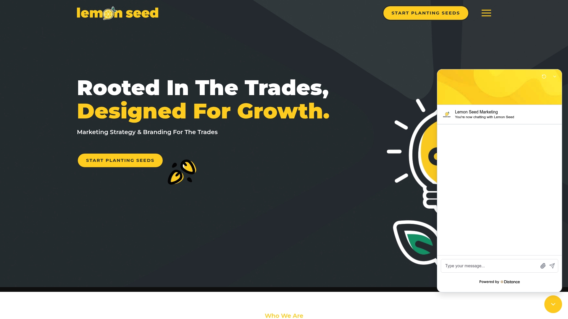 https://lemonseedmarketing.com
