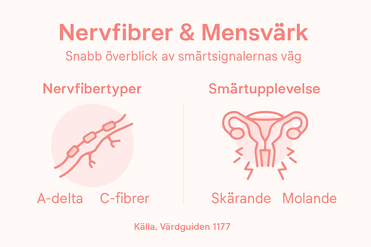 Illustration som visar hur nervtrådar leder smärtsignaler i kroppen
