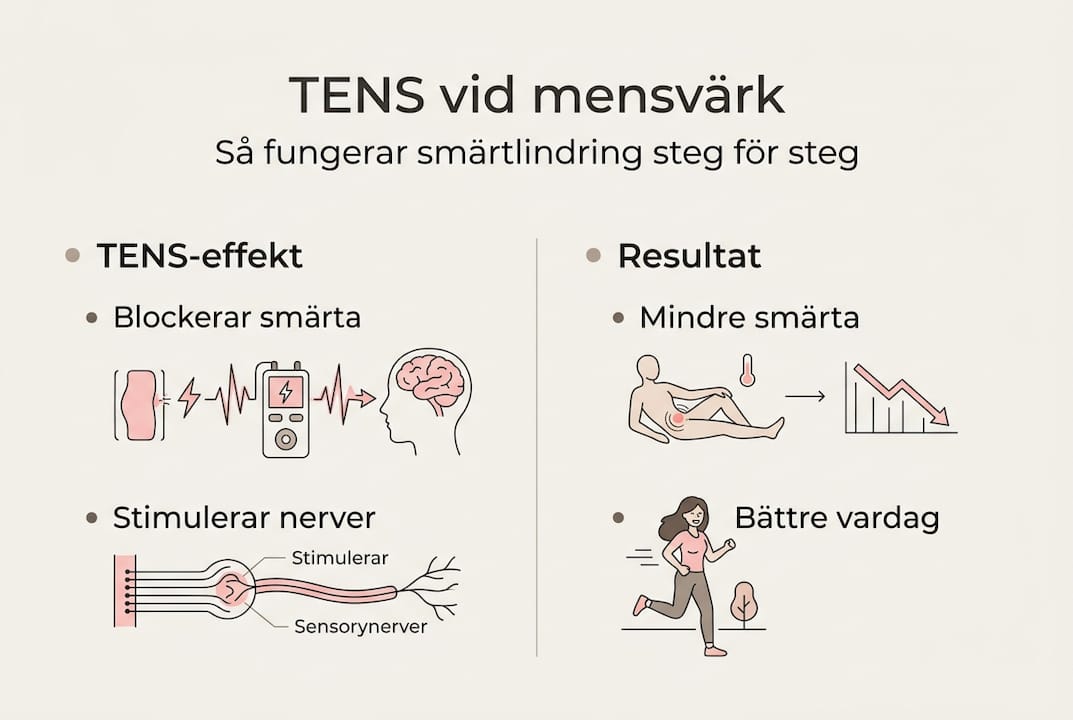 Grafik: Så fungerar TENS och hur det lindrar mensvärk