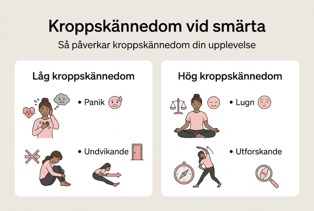 Infografik: Skillnaden mellan låg och hög kroppskännedom