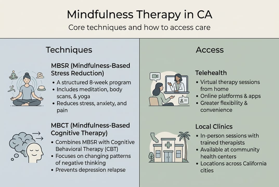 Infographic showing mindfulness therapy techniques and access