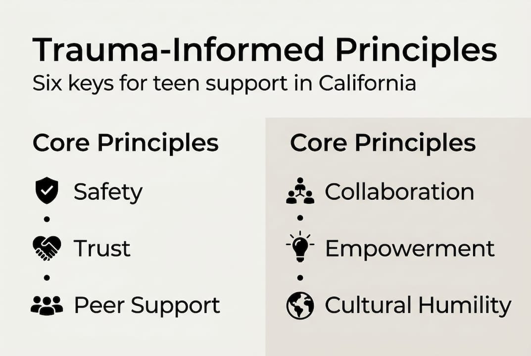 Infographic showing trauma-informed care principles