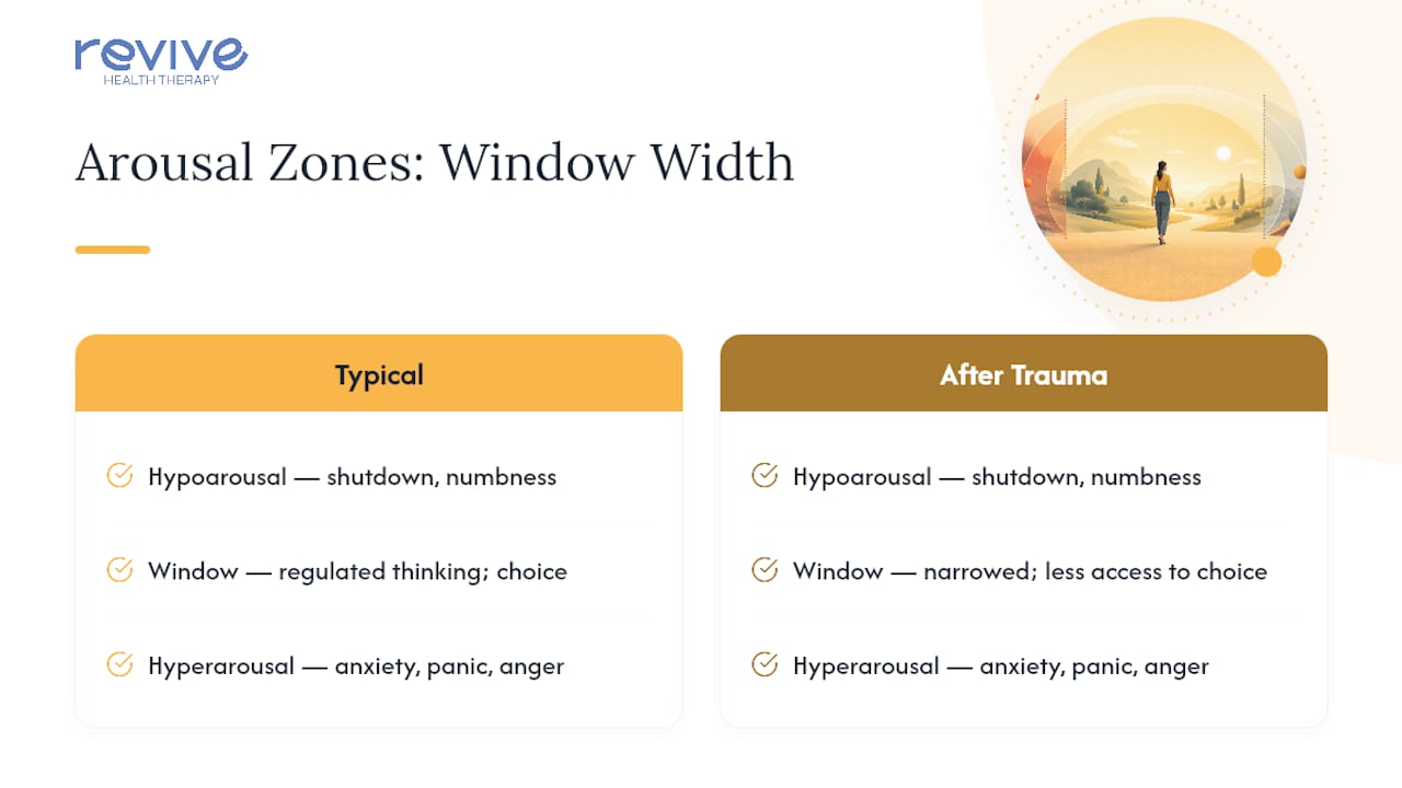 Three zones of the window of tolerance