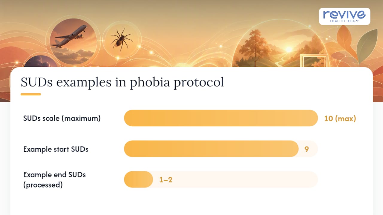 How Is EMDR Adapted Into a Phobia Protocol? — overview diagram
