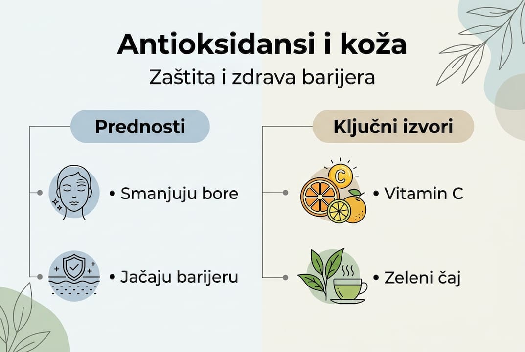 Pregled najvažnijih koristi antioksidansa i gdje ih pronaći
