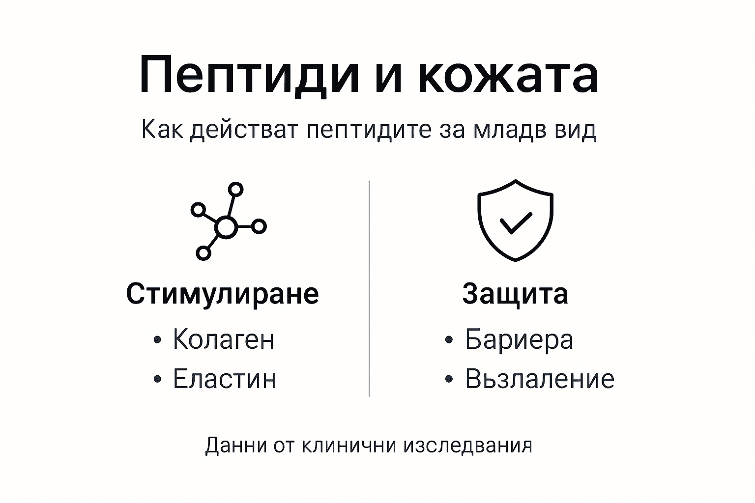 Инфографика: Как пептидите влияят върху здравето и външния вид на кожата
