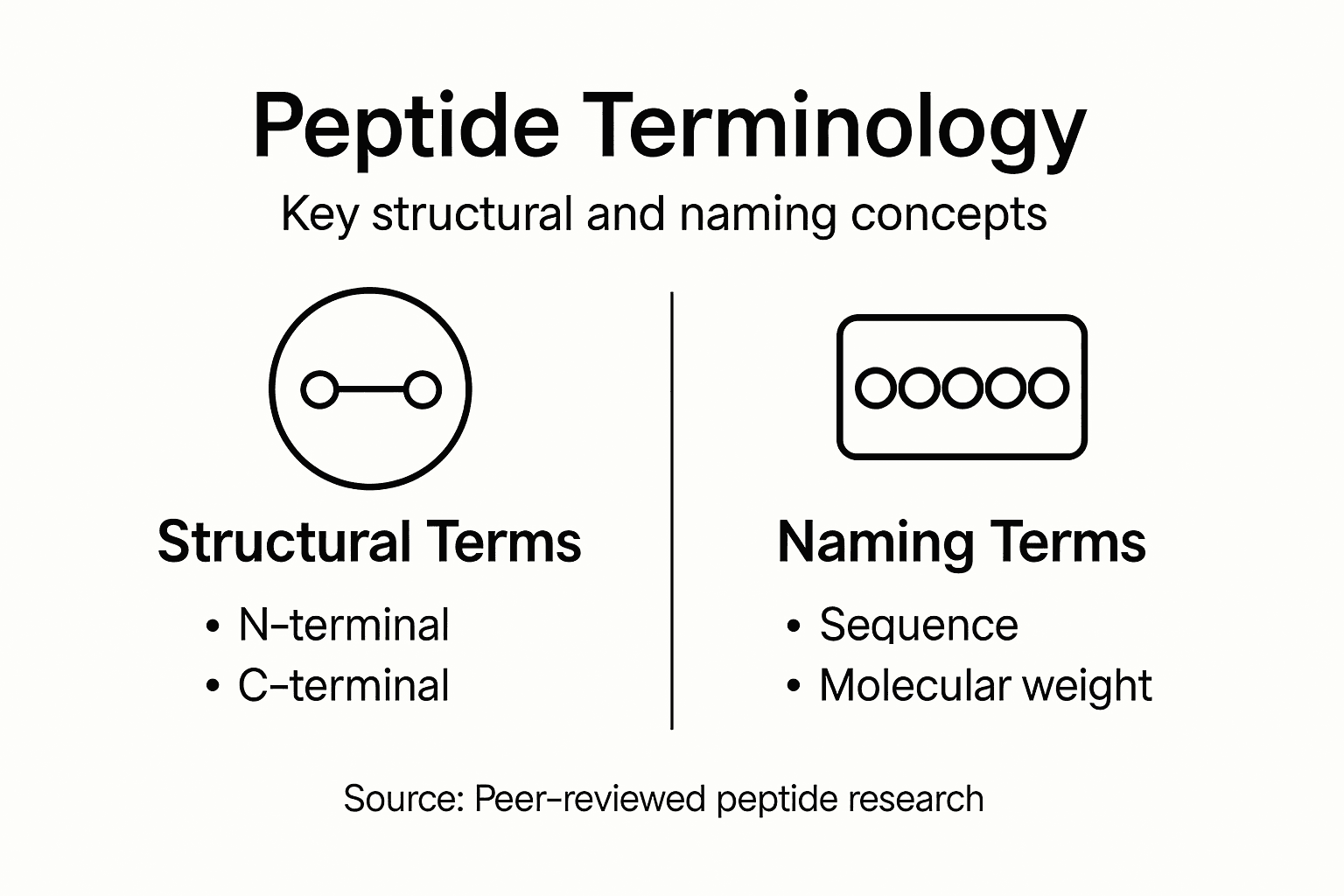 Infographic highlighting peptide terminology basics