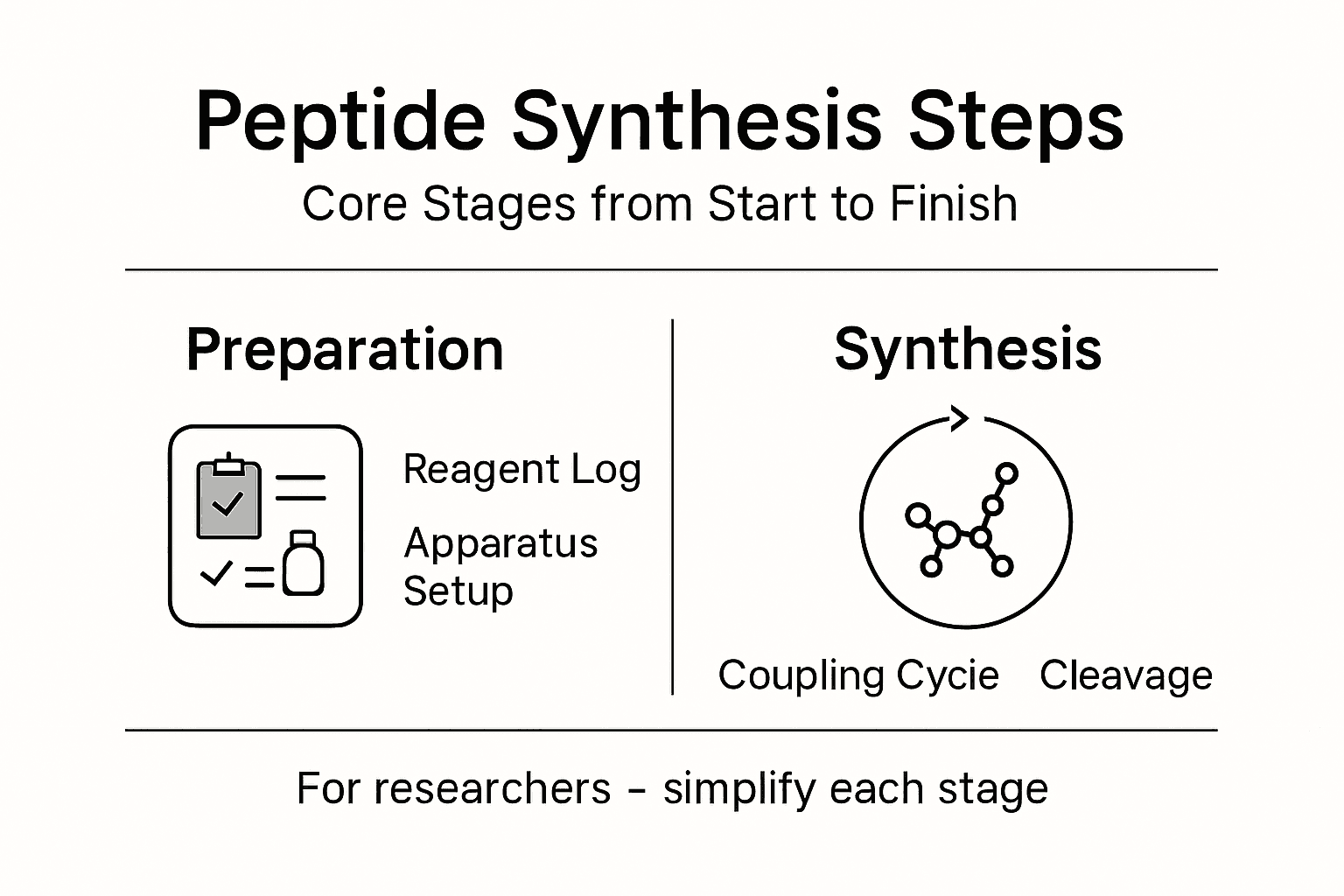Infographic outlining core peptide synthesis steps
