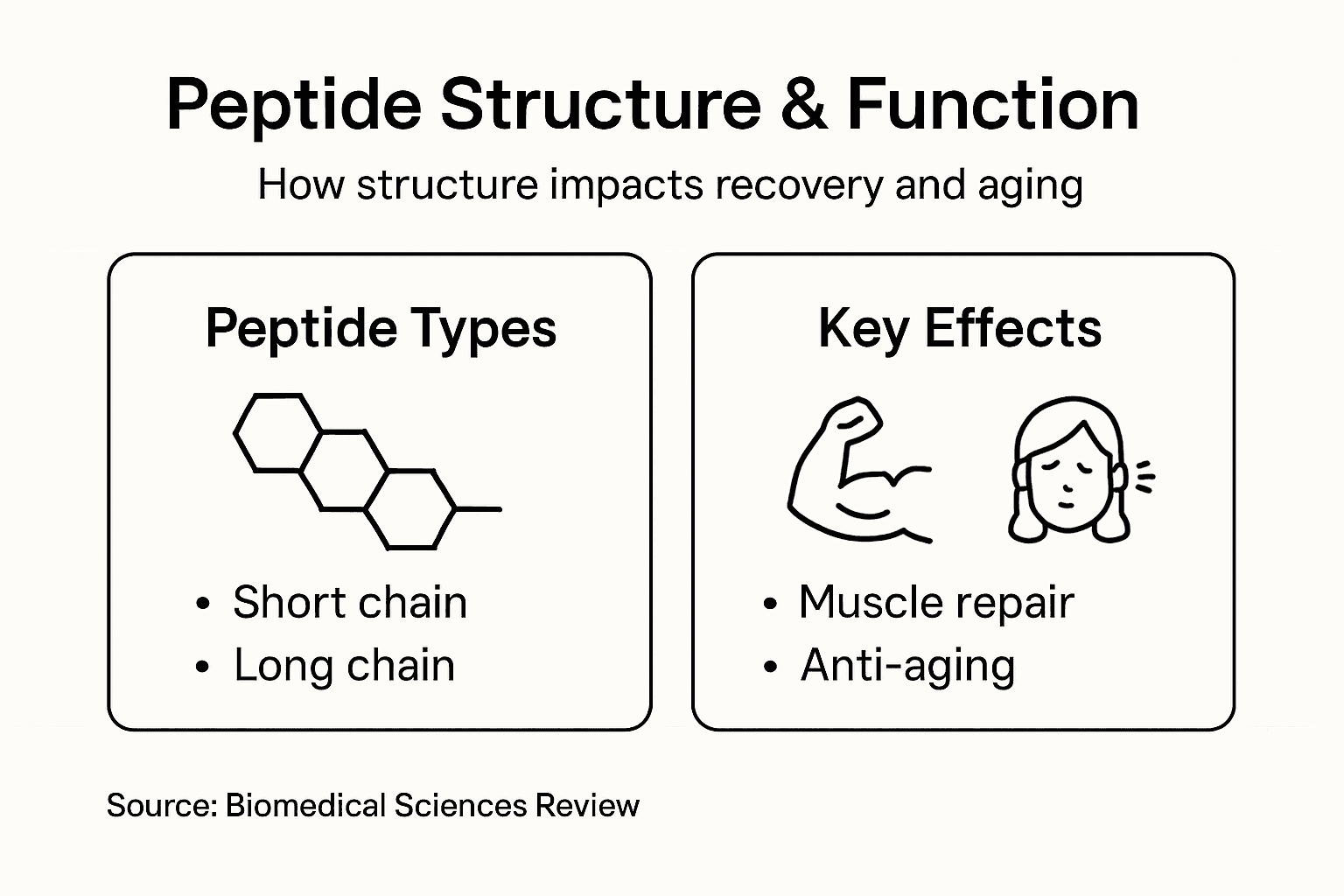 Infographic showing peptide types and effects overview
