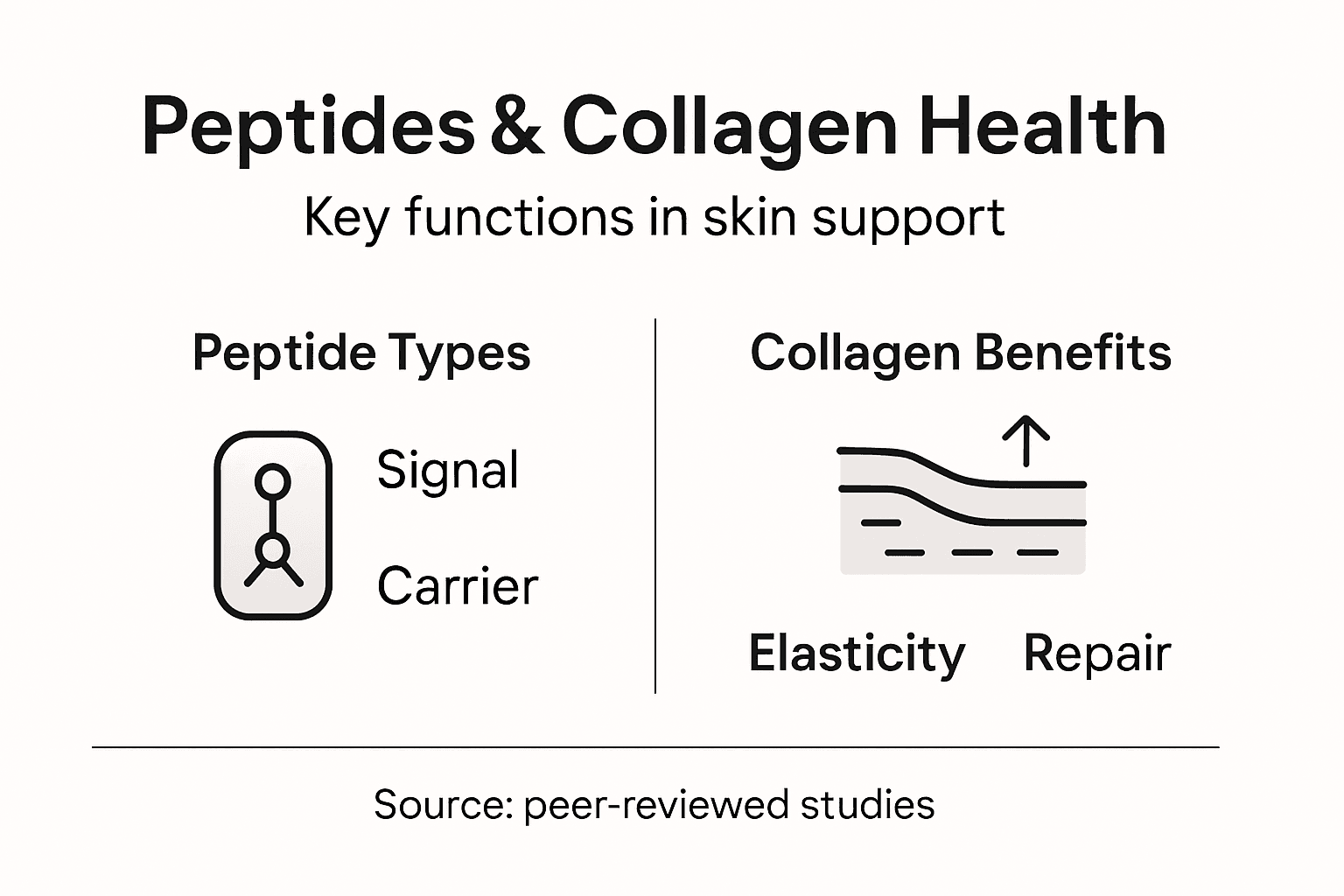 Infographic peptides collagen skin benefits