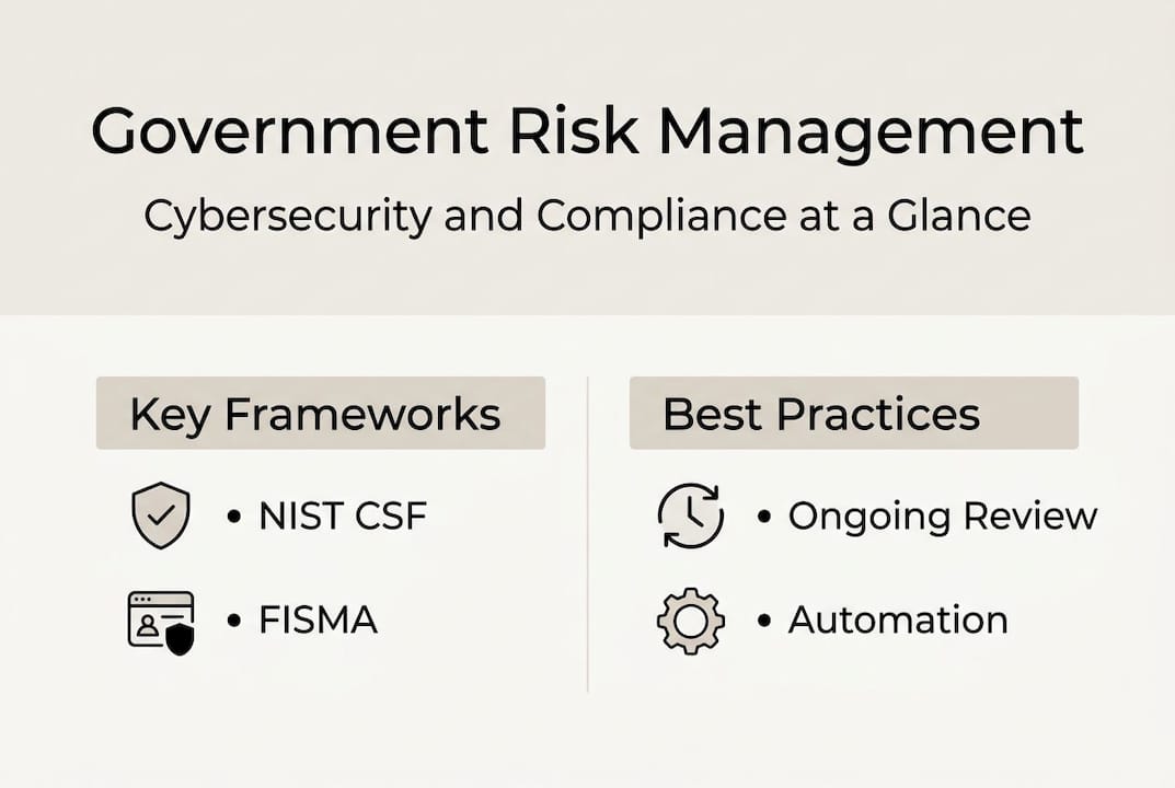 Infographic summarizing government risk frameworks and practices