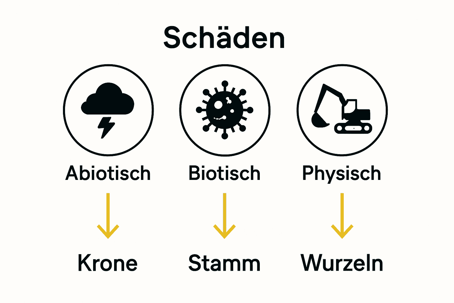 Vergleich der drei Hauptarten von Baumschäden mit Symbolen.