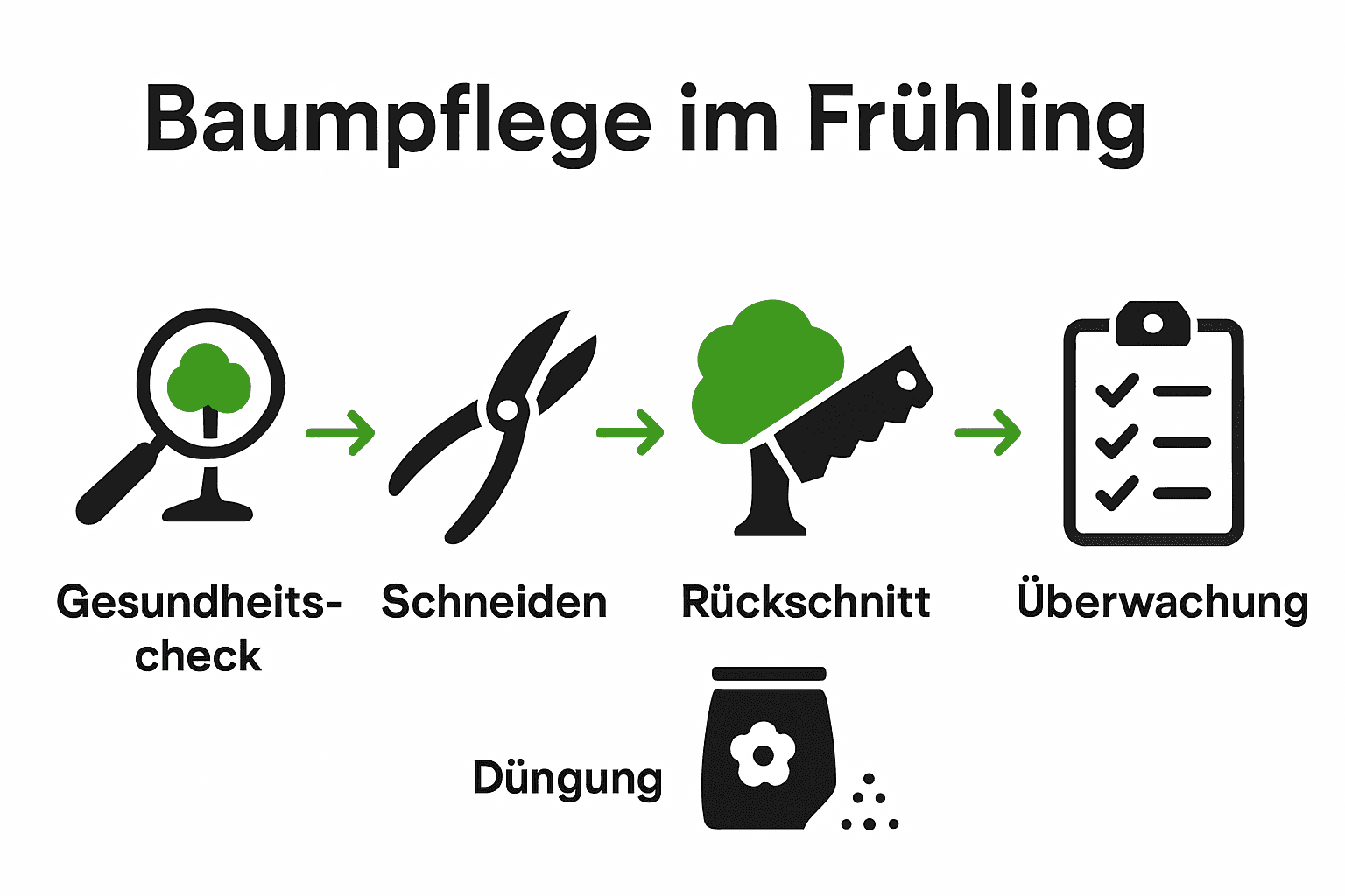Infografik mit fünf Symbolen für Baumpflegeschritte im Frühling