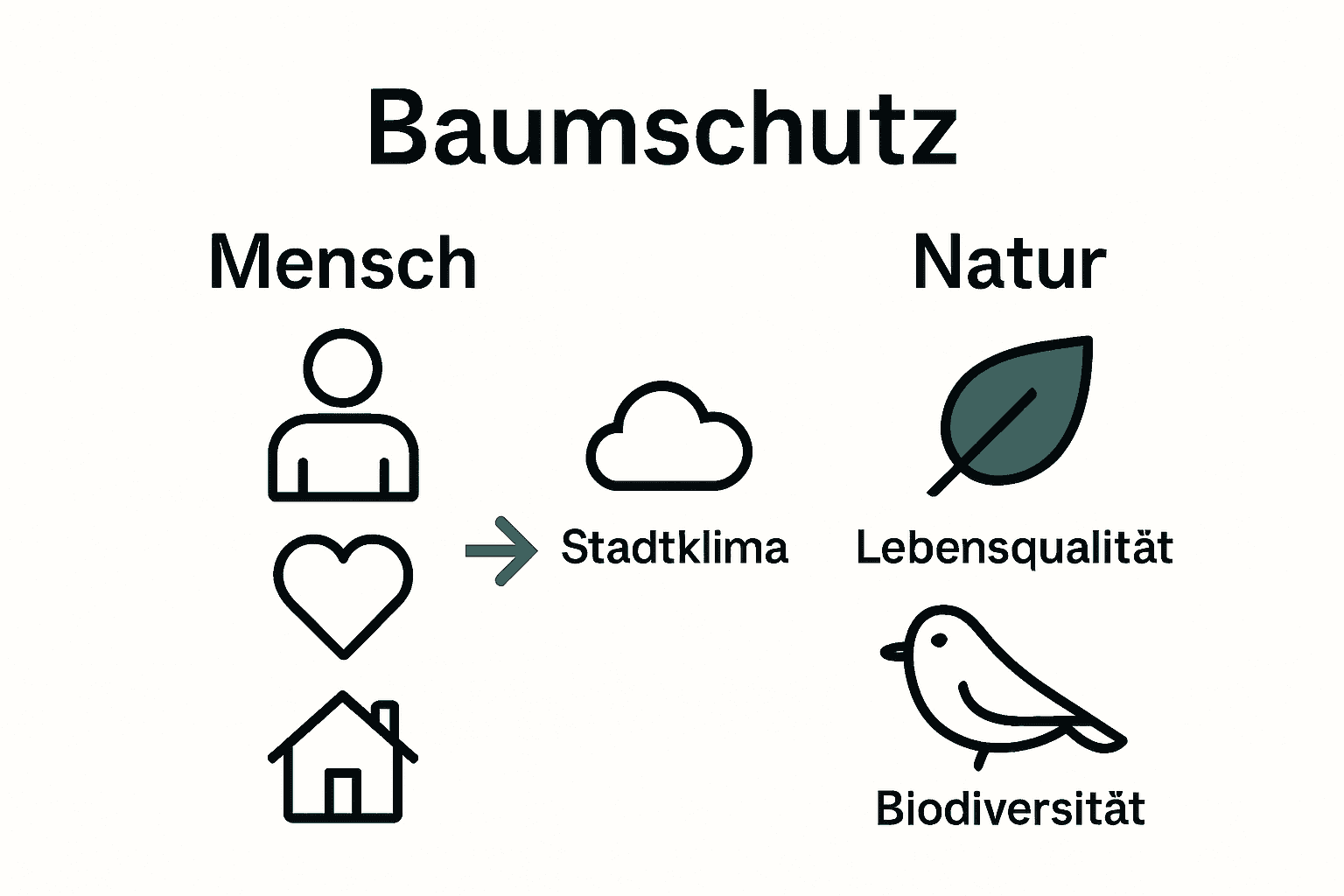 Infografik über Vorteile von Baumschutz für Mensch und Natur