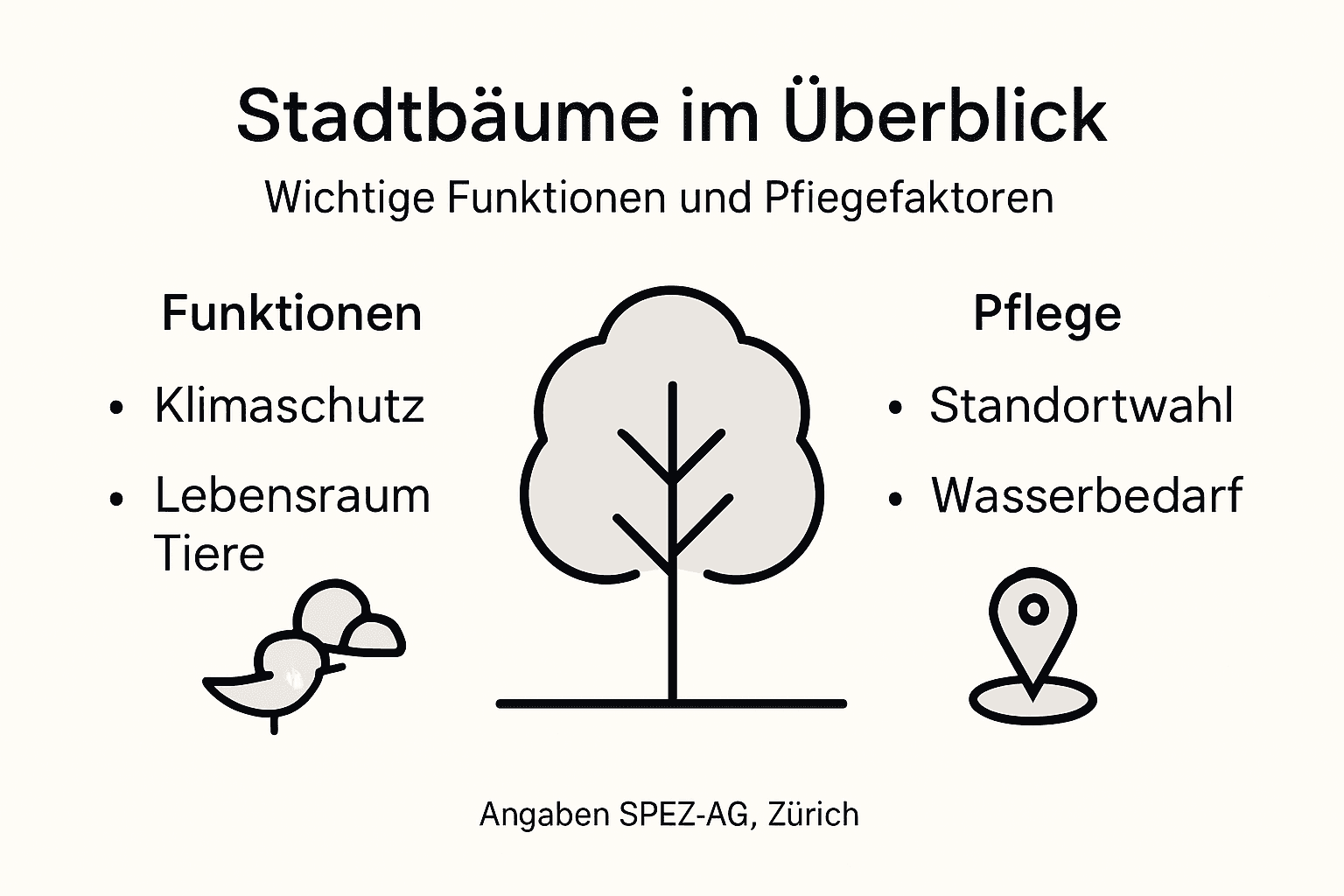 Infografik: Stadtbäume – ihre Bedeutung und worauf es bei der Pflege ankommt