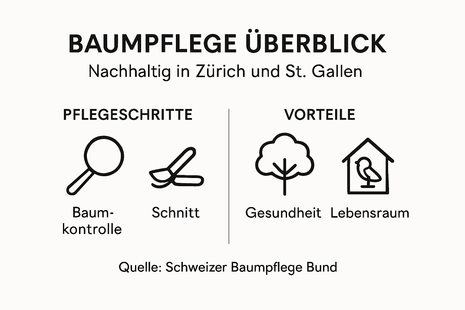 Übersicht: Wichtige Maßnahmen zur Baumpflege und ihre Vorteile