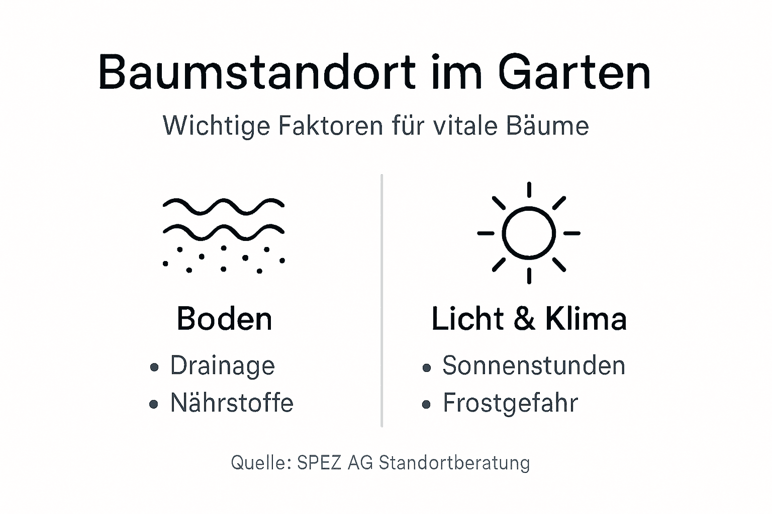 Infografik: Worauf es bei der Standortwahl für Bäume im eigenen Garten ankommt