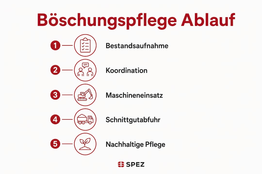 Die Infografik veranschaulicht Schritt für Schritt, wie eine naturschonende Pflege von Böschungen abläuft.